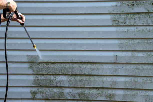 Best Residential Junk Removal  in Mount Gilead, NC